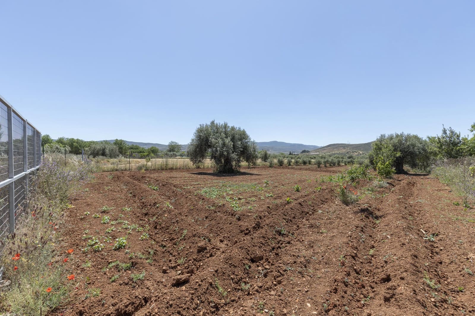 Mark till salu i Cozvijar - 31 500 € (Ref: 9403297)