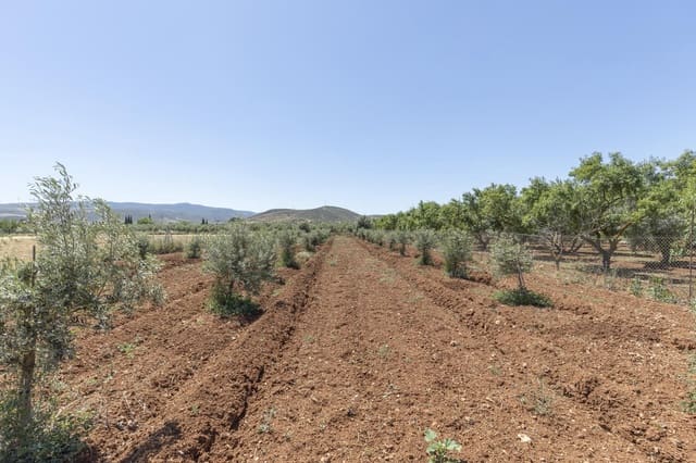 Grond te koop in Cozvijar, Villamena - € 31.500 (Ref: 9403297)