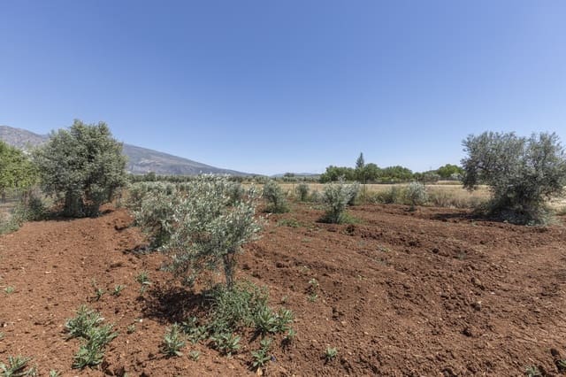 Grond te koop in Cozvijar, Villamena - € 31.500 (Ref: 9403297)