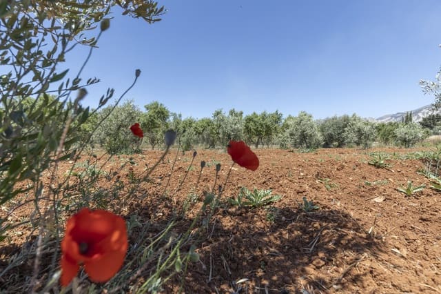 Grond te koop in Cozvijar, Villamena - € 31.500 (Ref: 9403297)