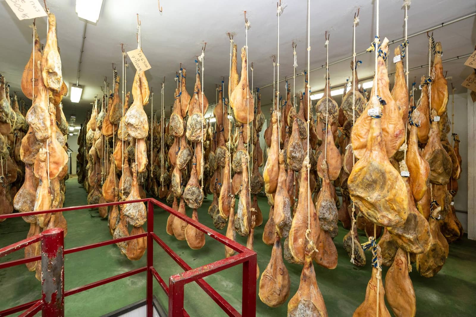 Empresa para venda em Illora - 270 000 € (Ref: 9530437)