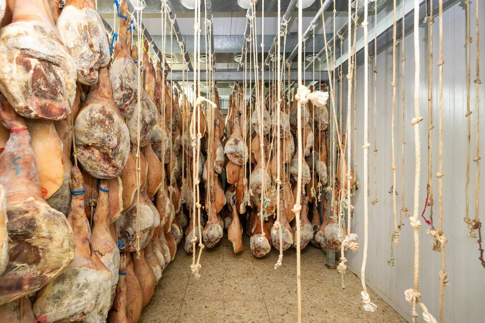 Empresa para venda em Illora - 270 000 € (Ref: 9530437)