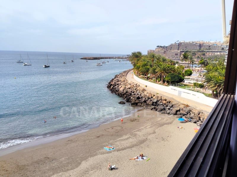 Estudio en Arguineguín en alquiler - 1.500 € (Ref: 10168415)