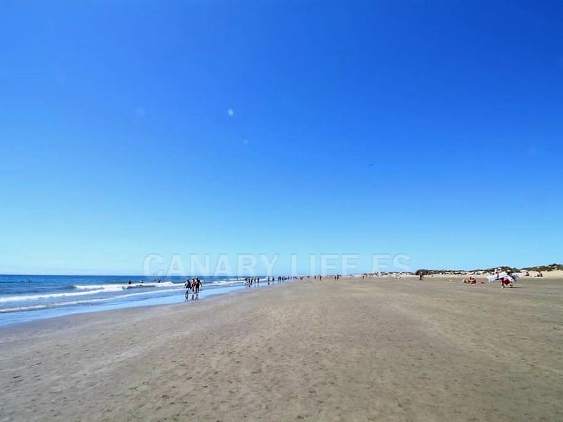 2 Zimmer Apartment zu vermieten in Playa del Ingles mit Garage - 1.350 € (Ref: 9114546)