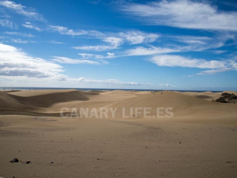 2 Zimmer Apartment zu vermieten in Playa del Ingles mit Garage - 1.350 € (Ref: 9114546)