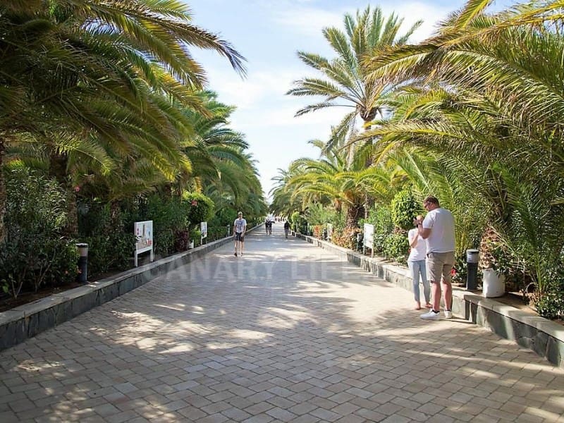 2 Zimmer Apartment zu vermieten in Playa del Ingles mit Garage - 1.350 € (Ref: 9114546)