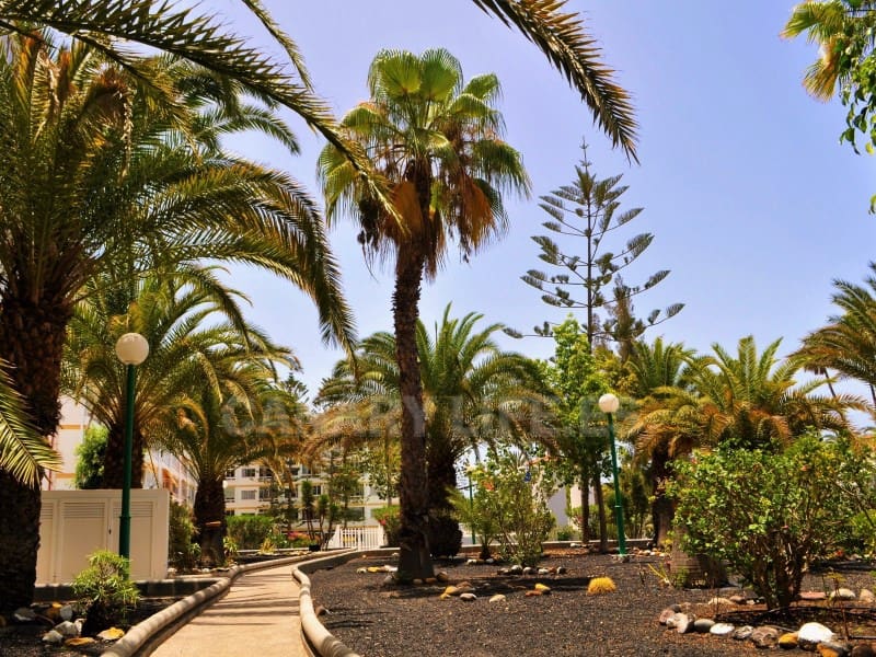 2 Zimmer Apartment zu vermieten in Playa del Ingles mit Garage - 1.350 € (Ref: 9114546)