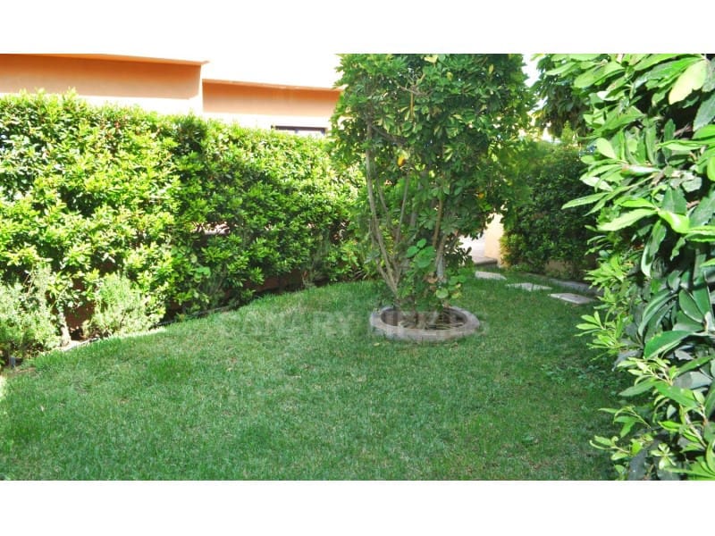 2 sypialnia Bungalow do wynajęcia w San Bartolome de Tirajana - 2 000 € (Ref: 9114556)