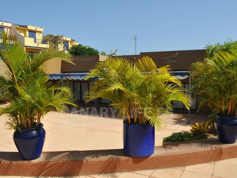 2 sypialnia Bungalow do wynajęcia w San Bartolome de Tirajana - 2 000 € (Ref: 9114556)