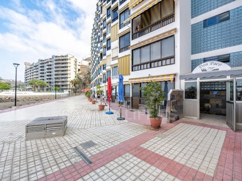 Studio for rent in Arguineguin - € 1,150 (Ref: 9114557)