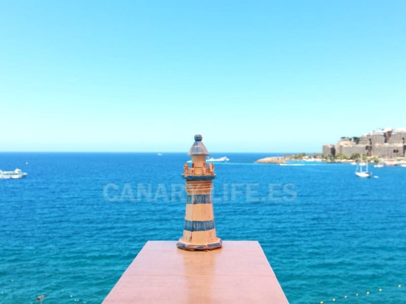 1 slaapkamer Appartement te huur in Arguineguin - € 1.800 (Ref: 9114561)