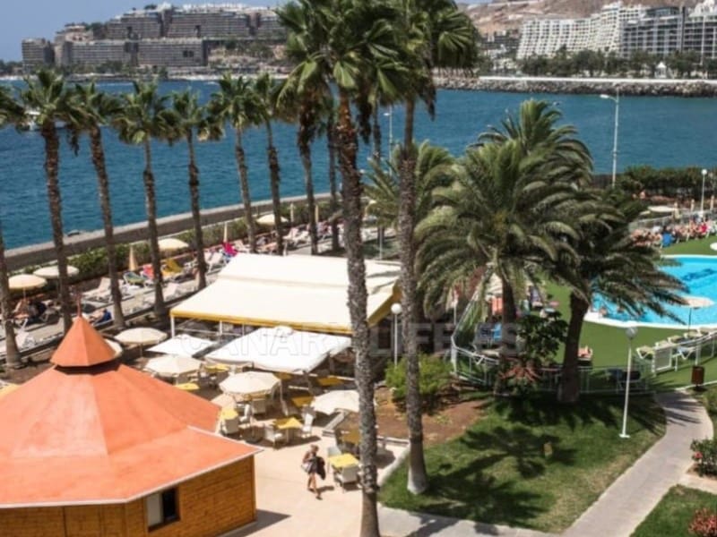 1 slaapkamer Appartement te huur in Arguineguin - € 1.800 (Ref: 9114561)