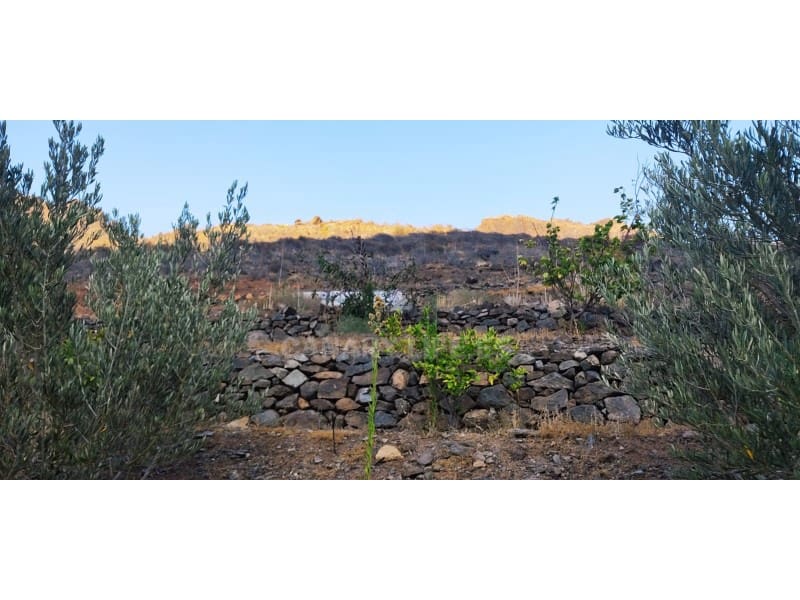 Terreno Não Urbanizado para venda em San Bartolome de Tirajana - 89 000 € (Ref: 9194012)