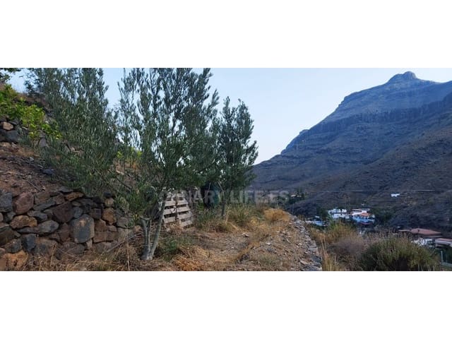 Terreno Não Urbanizado para venda em San Bartolomé de Tirajana - 89 000 € (Ref: 9194012)