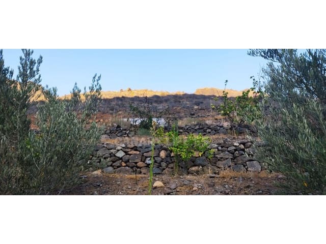 Terreno Não Urbanizado para venda em San Bartolomé de Tirajana - 89 000 € (Ref: 9194012)