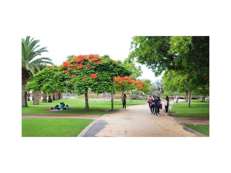 1 Zimmer Apartment zu vermieten in San Bartolome de Tirajana mit Pool - 1.100 € (Ref: 9528177)