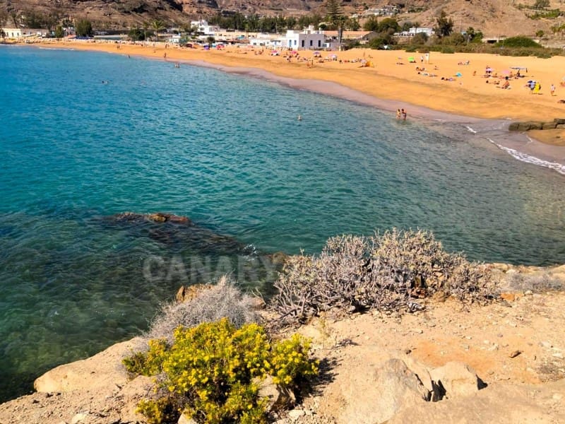 1 bedroom Apartment for rent in Mogan with pool - € 1,100 (Ref: 9946241)
