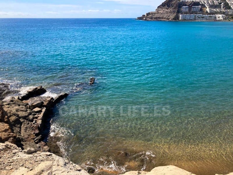 1 bedroom Apartment for rent in Mogan with pool - € 1,100 (Ref: 9946241)