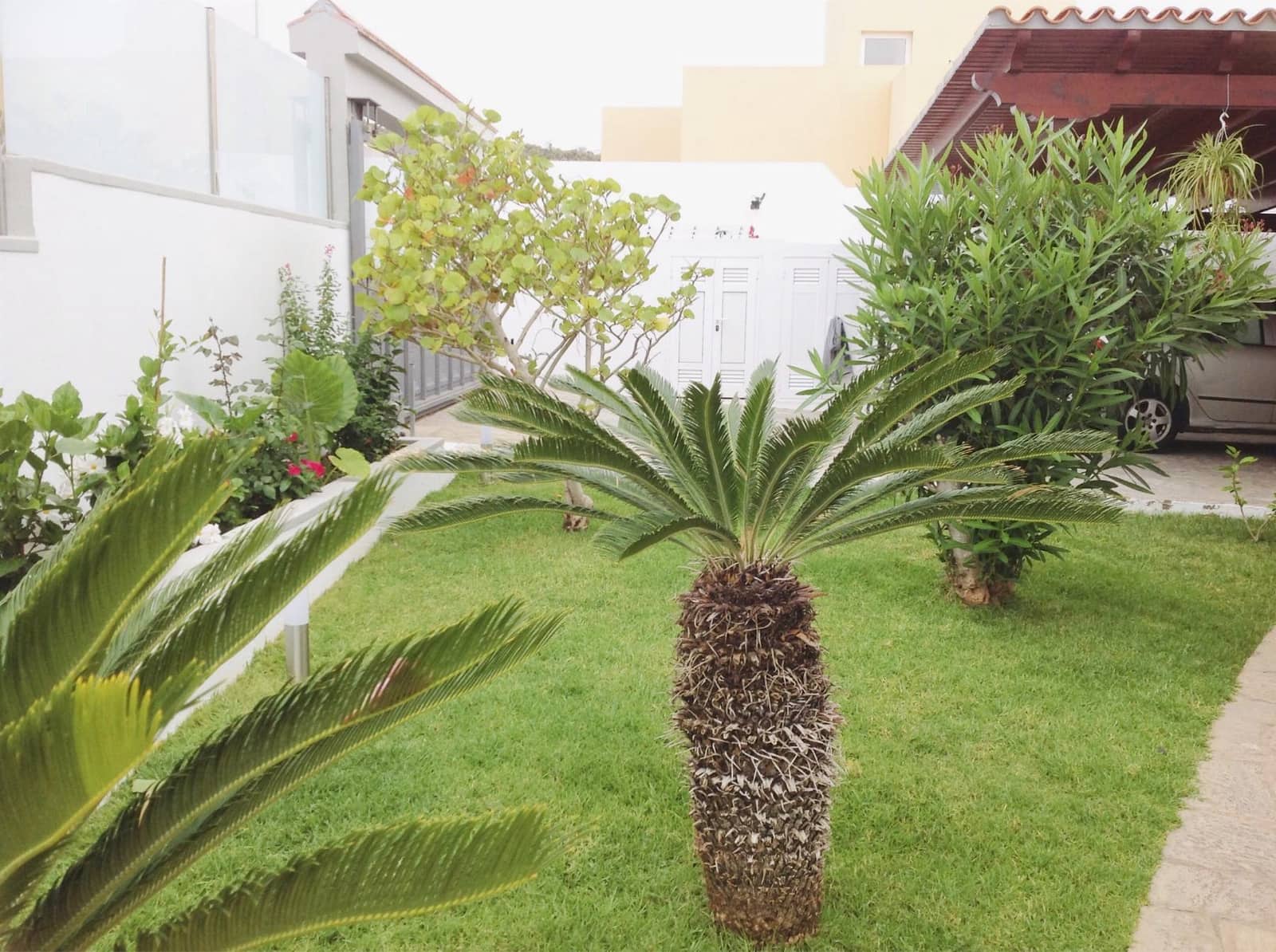 4 Zimmer Villa zu verkaufen in Roque del Conde mit Pool - 1.350.000 € (Ref: 8206535)