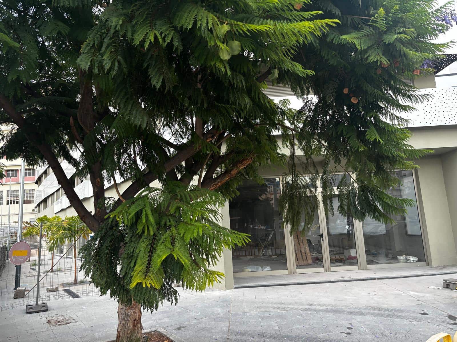 Local Comercial en Santa Cruz de Tenerife en venta con garaje - 301.000 € (Ref: 9627737)