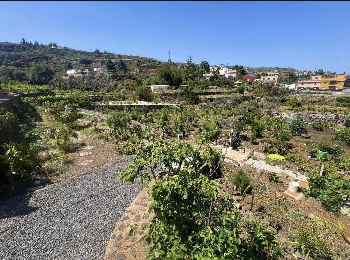 5 soveværelse Finca/Landehus til salg i Granadilla de Abona med swimmingpool - € 549.000 (Ref: 9748153)