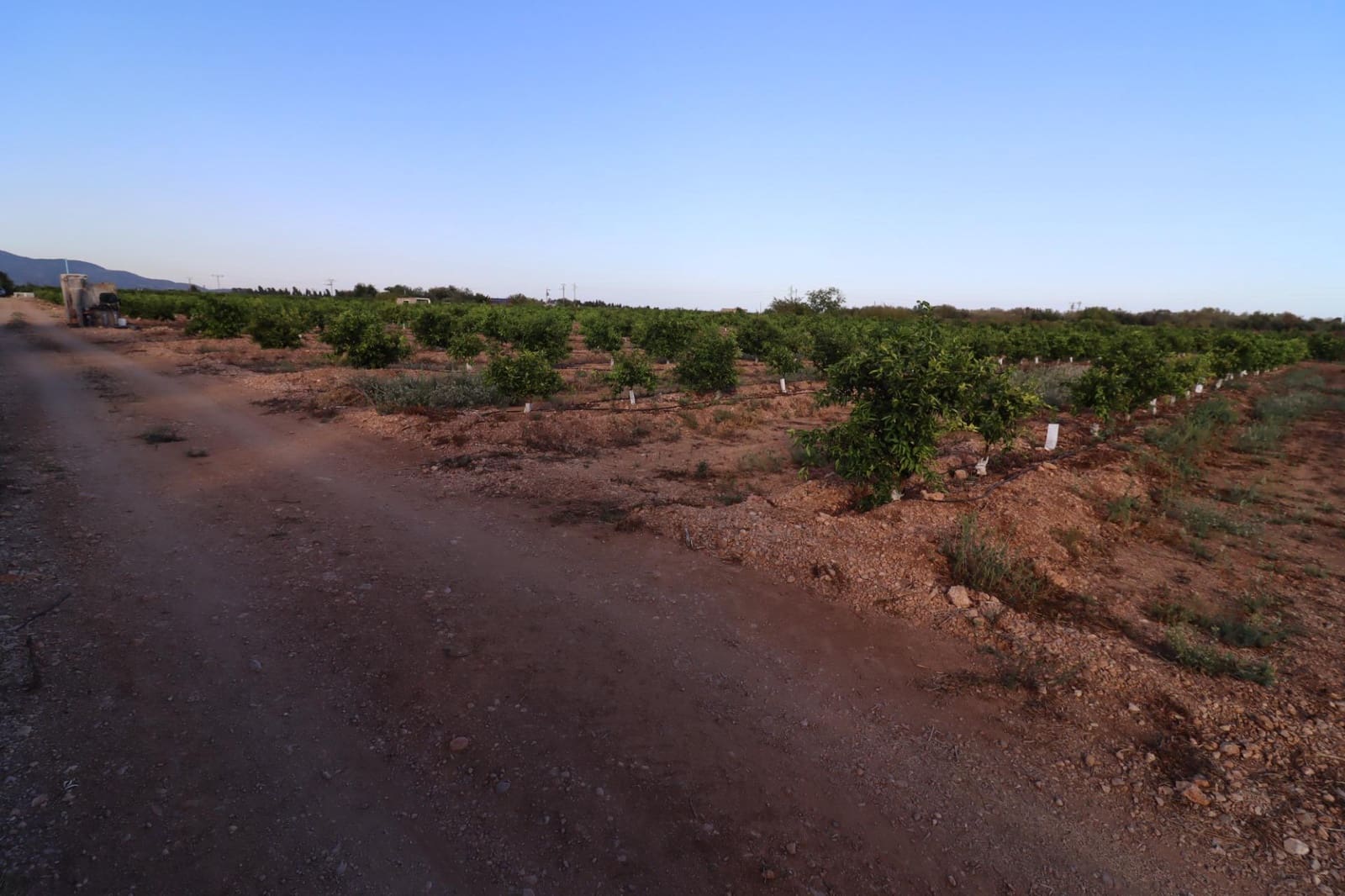 Terre non Aménagée à vendre à Vinaros - 60 000 € (Ref: 10059164)