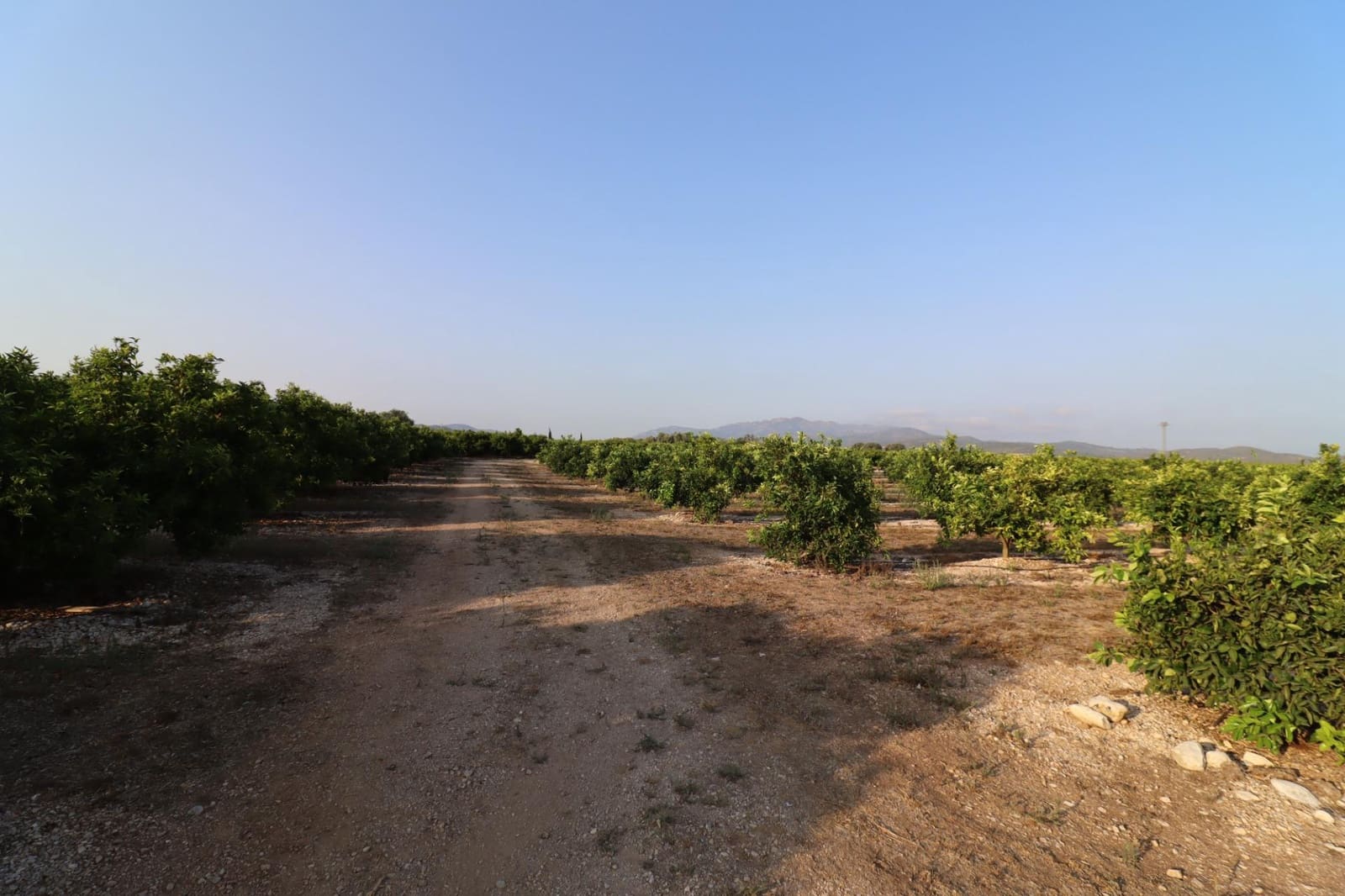 Terre non Aménagée à vendre à Vinaros - 60 000 € (Ref: 10059164)