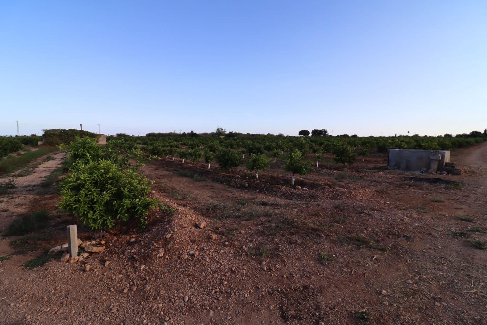 Terre non Aménagée à vendre à Vinaros - 60 000 € (Ref: 10059164)