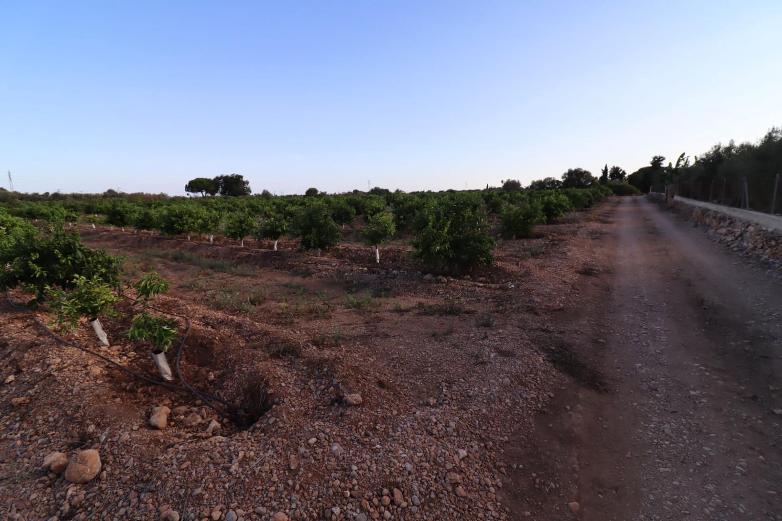 Terre non Aménagée à vendre à Vinaros - 60 000 € (Ref: 10059164)