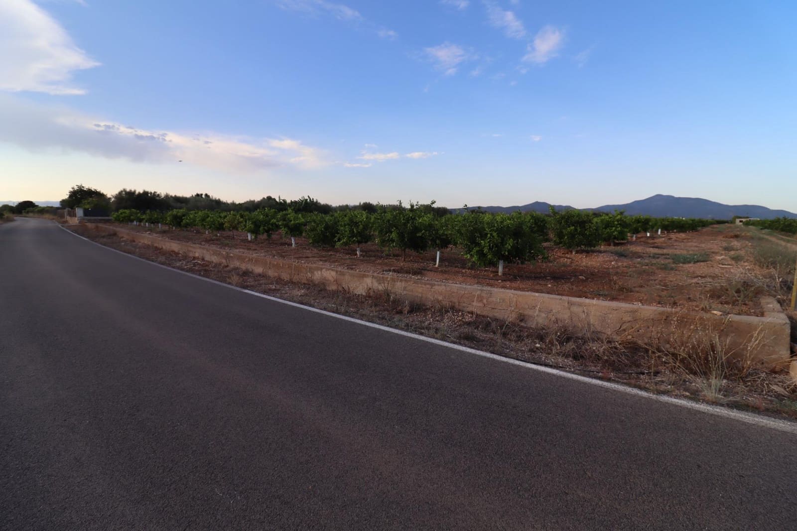 Terre non Aménagée à vendre à Vinaros - 60 000 € (Ref: 10059164)