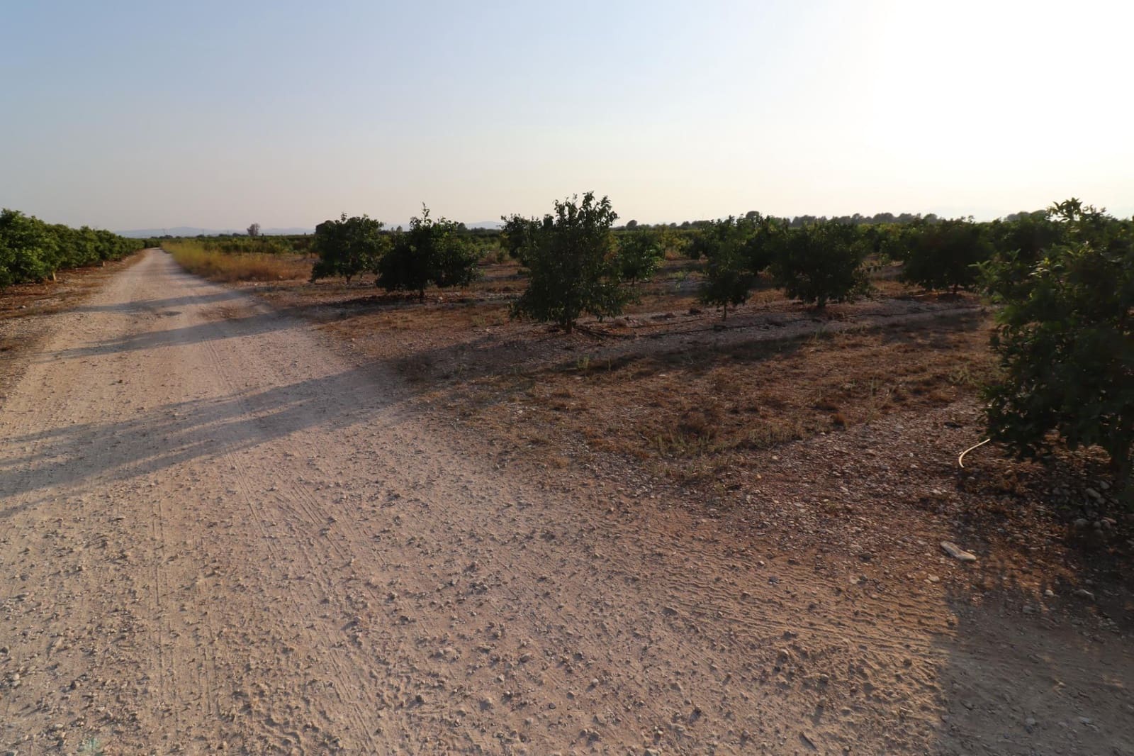 Terre non Aménagée à vendre à Vinaros - 60 000 € (Ref: 10059164)