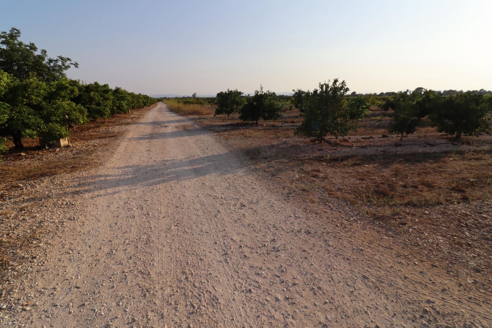 Terre non Aménagée à vendre à Vinaros - 60 000 € (Ref: 10059164)