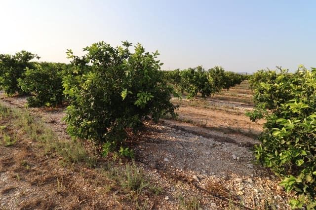 Grond te koop in Vinaròs - € 60.000 (Ref: 10059164)