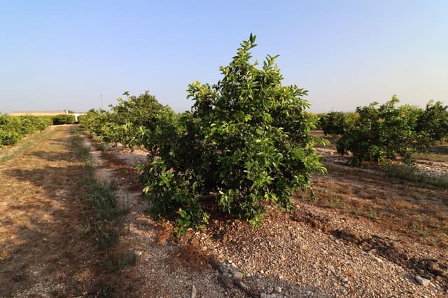 Grond te koop in Vinaròs - € 60.000 (Ref: 10059164)