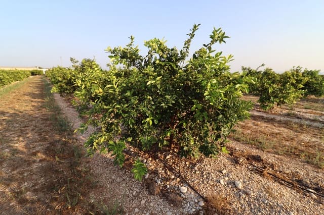 Grond te koop in Vinaròs - € 60.000 (Ref: 10059164)