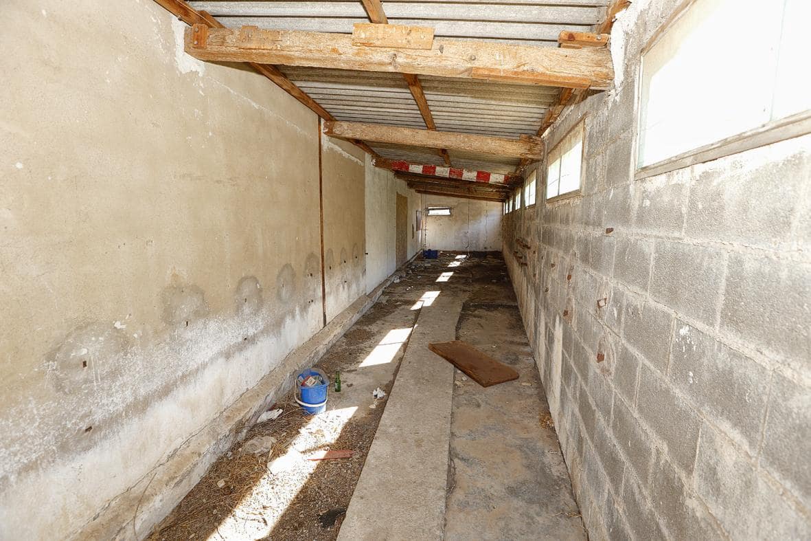 Virksomhed til salg i Les Cases d'Alcanar - € 135.000 (Ref: 7786387)