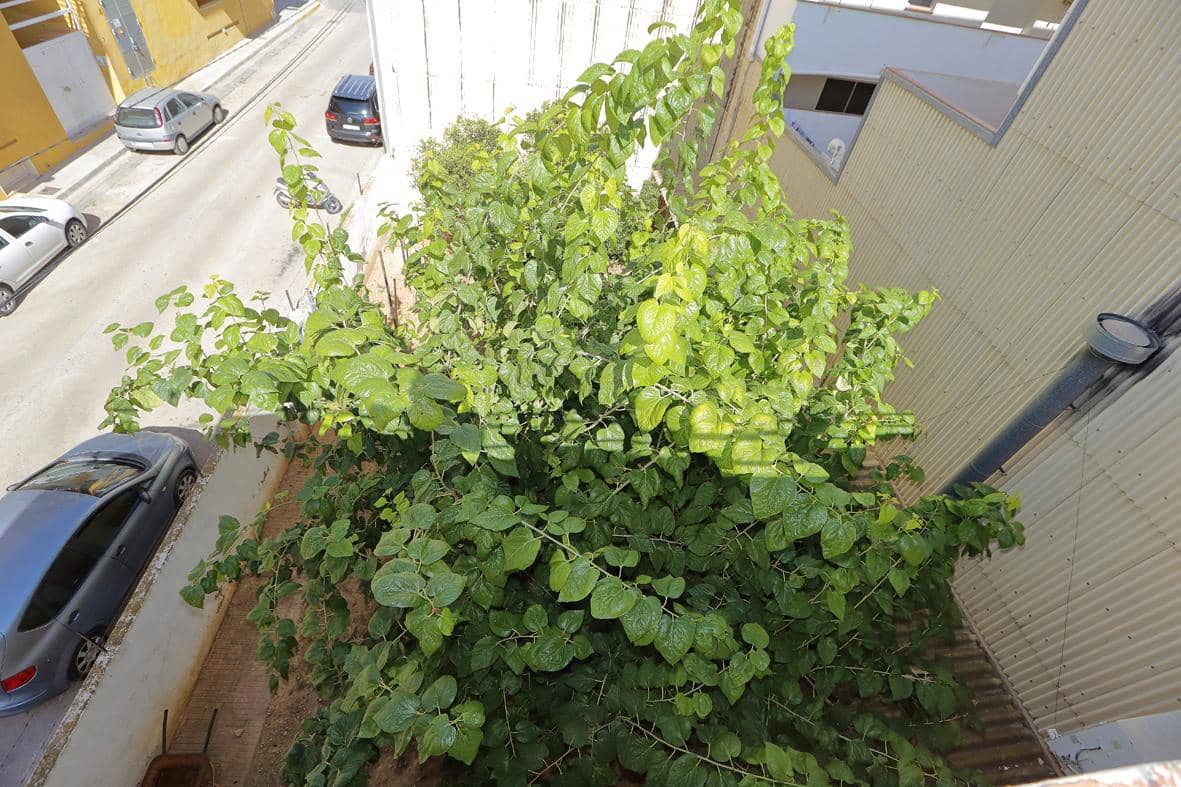 4 soveværelse Rækkehus til salg i Alcanar - € 390.000 (Ref: 7786388)