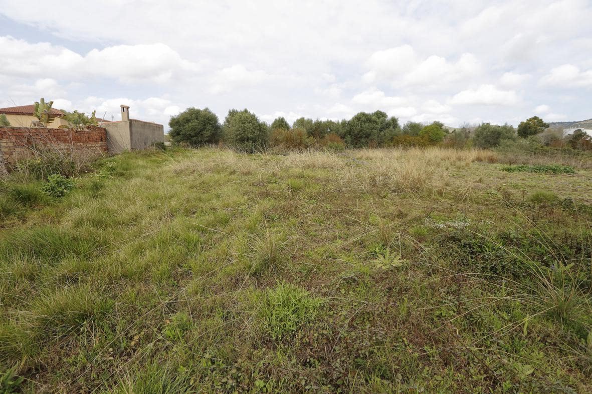 Terrain à Bâtir à vendre à Alcanar - 25 000 € (Ref: 7786391)