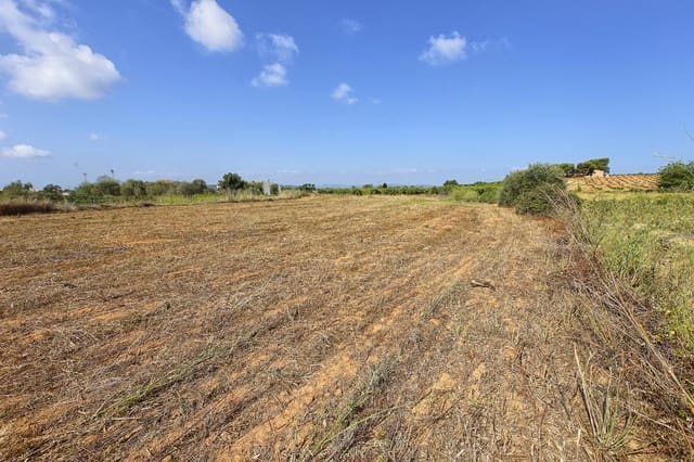 Undeveloped Land for sale in Alcanar - € 30,000 (Ref: 7786408)