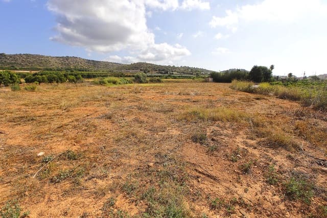 Undeveloped Land for sale in Alcanar - € 30,000 (Ref: 7786408)