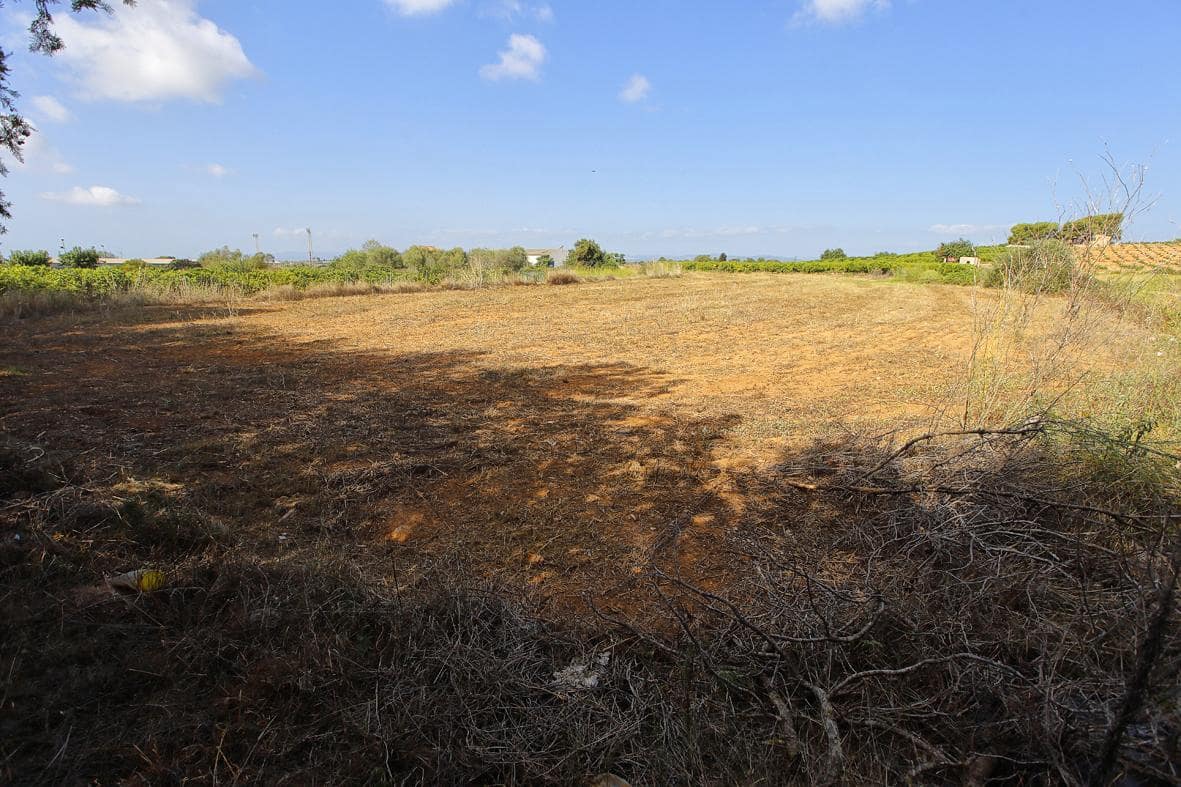 Grunde uden byggetilladelser til salg i Alcanar - € 30.000 (Ref: 7786408)