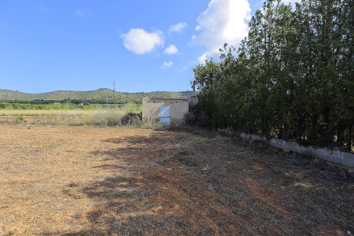 Grunde uden byggetilladelser til salg i Alcanar - € 30.000 (Ref: 7786408)