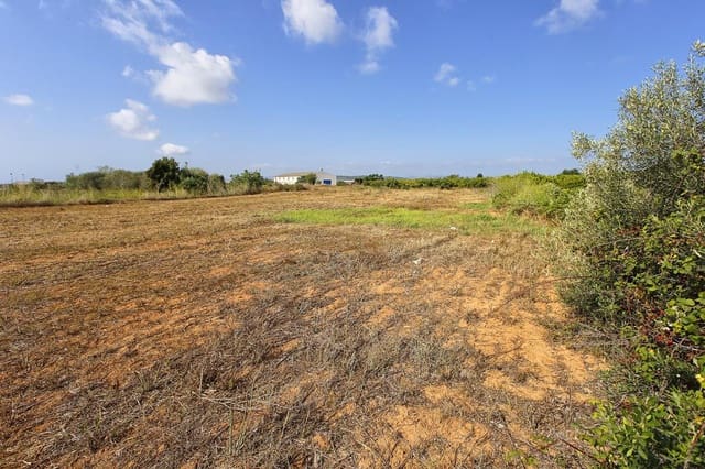 Undeveloped Land for sale in Alcanar - € 30,000 (Ref: 7786408)
