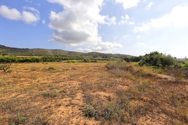 Undeveloped Land for sale in Alcanar - € 30,000 (Ref: 7786408)