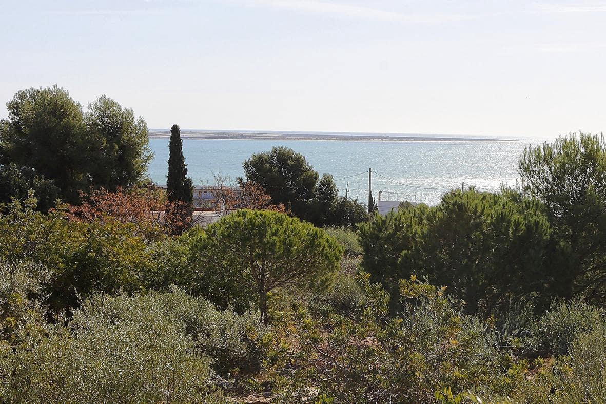 Grunde uden byggetilladelser til salg i Alcanar - € 75.000 (Ref: 7786410)