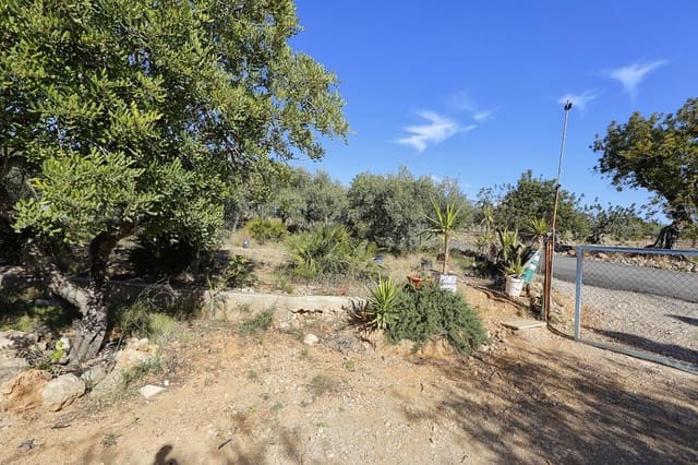 Undeveloped Land for sale in Alcanar - € 75,000 (Ref: 7786410)