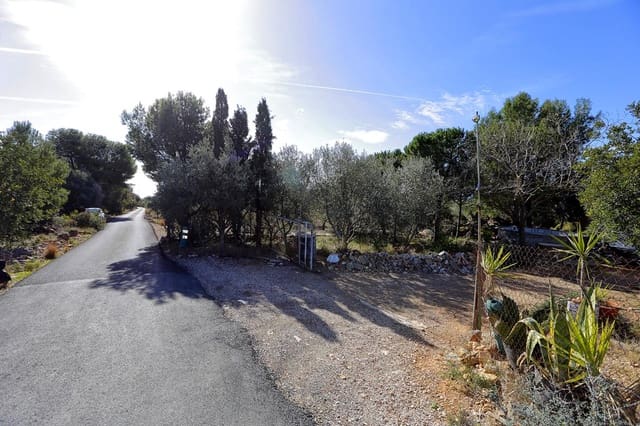 Undeveloped Land for sale in Alcanar - € 75,000 (Ref: 7786410)