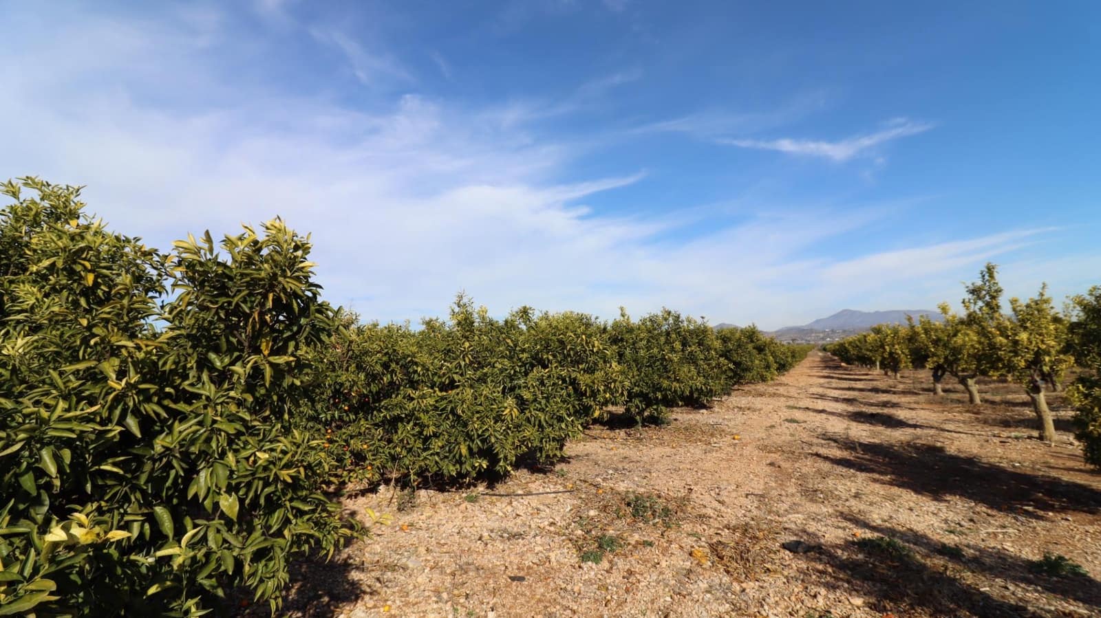 Grunde uden byggetilladelser til salg i Vinaros - € 26.600 (Ref: 8046426)