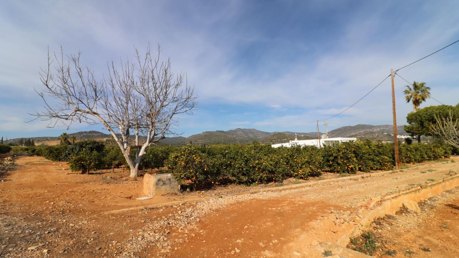 Grunde uden byggetilladelser til salg i Vinaros - € 26.600 (Ref: 8046426)