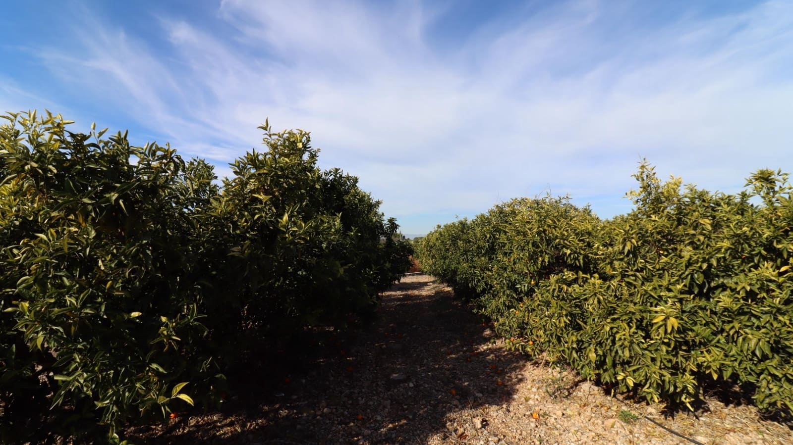 Grunde uden byggetilladelser til salg i Vinaros - € 26.600 (Ref: 8046426)